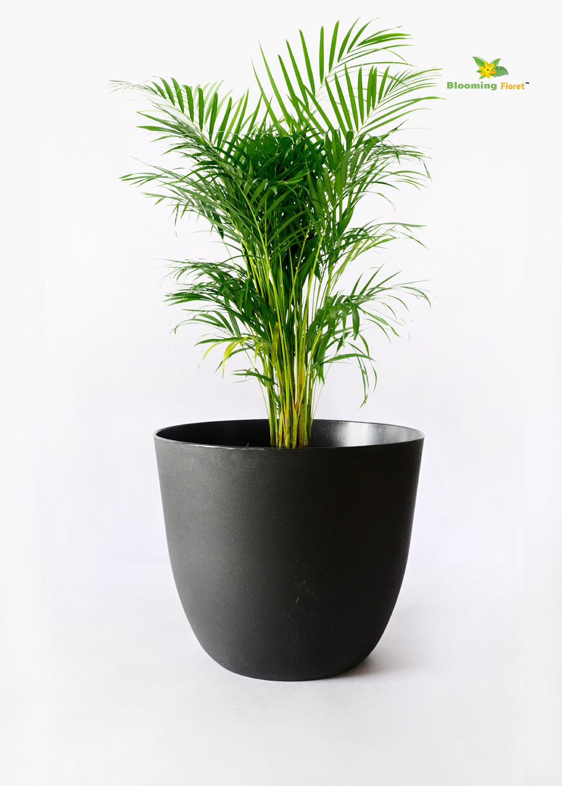 Timeless Black Round Planter