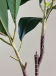 Plumeria (Frangipani) Flower Stick - White
