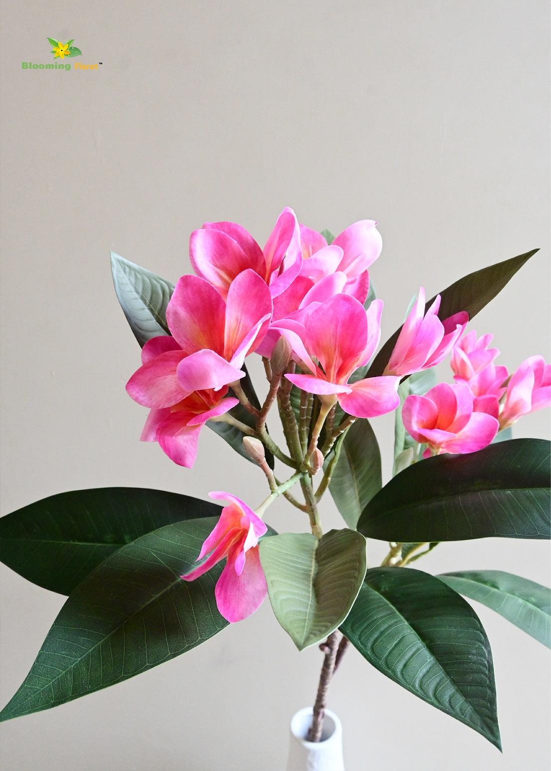 Plumeria (Frangipani) Flower Stick