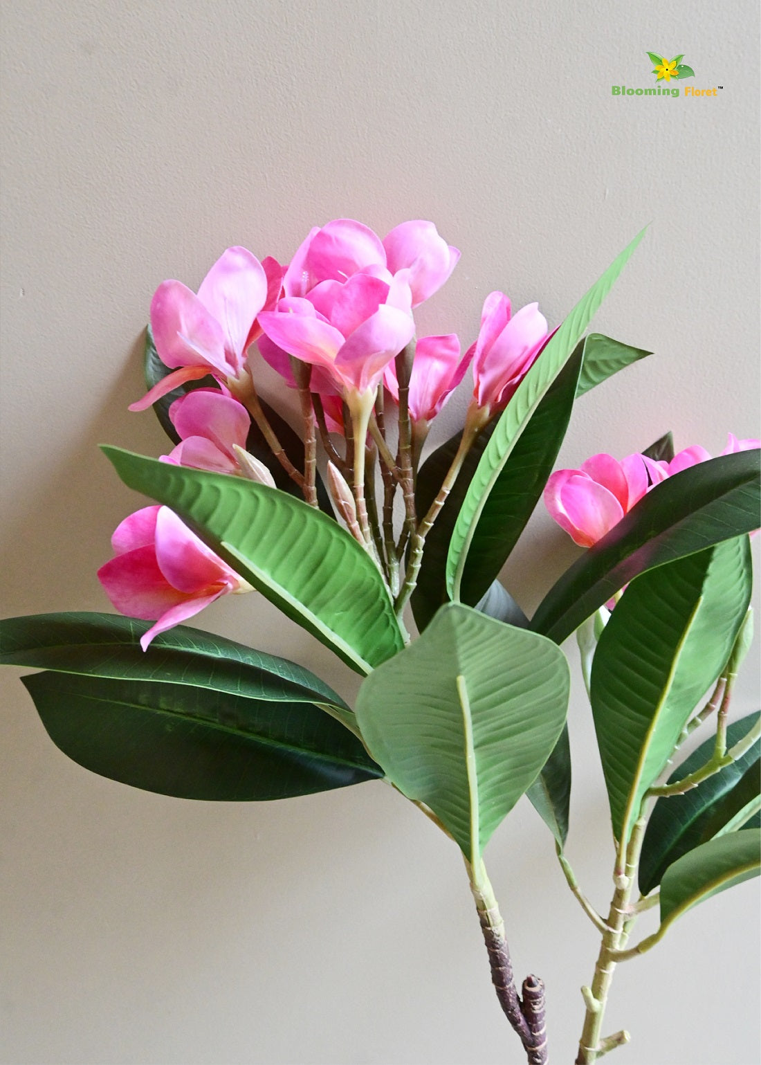 Plumeria (Frangipani) Flower Stick