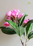 Plumeria (Frangipani) Flower Stick