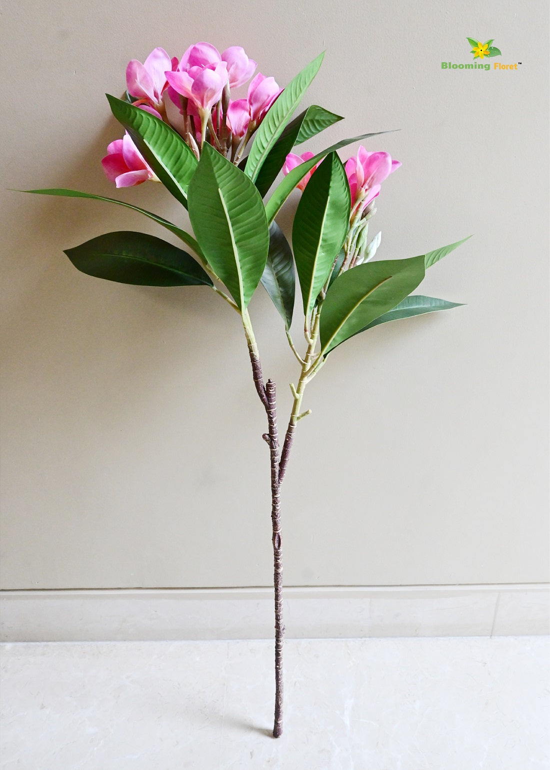 Plumeria (Frangipani) Flower Stick