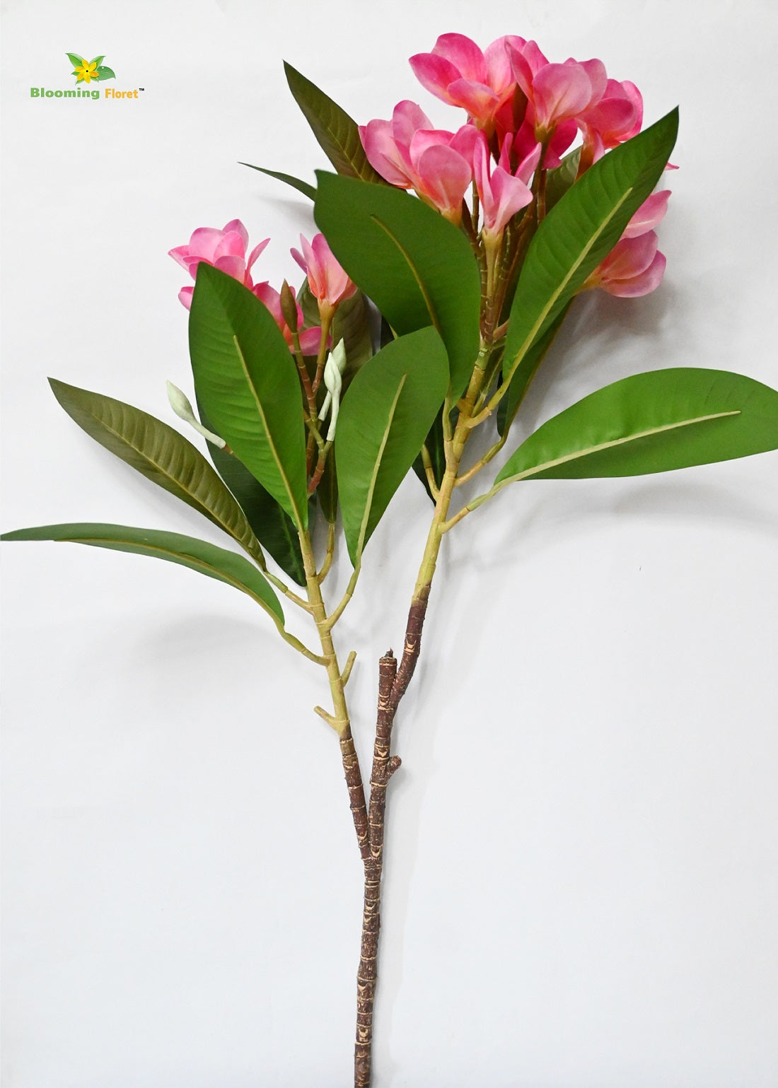 Plumeria (Frangipani) Flower Stick