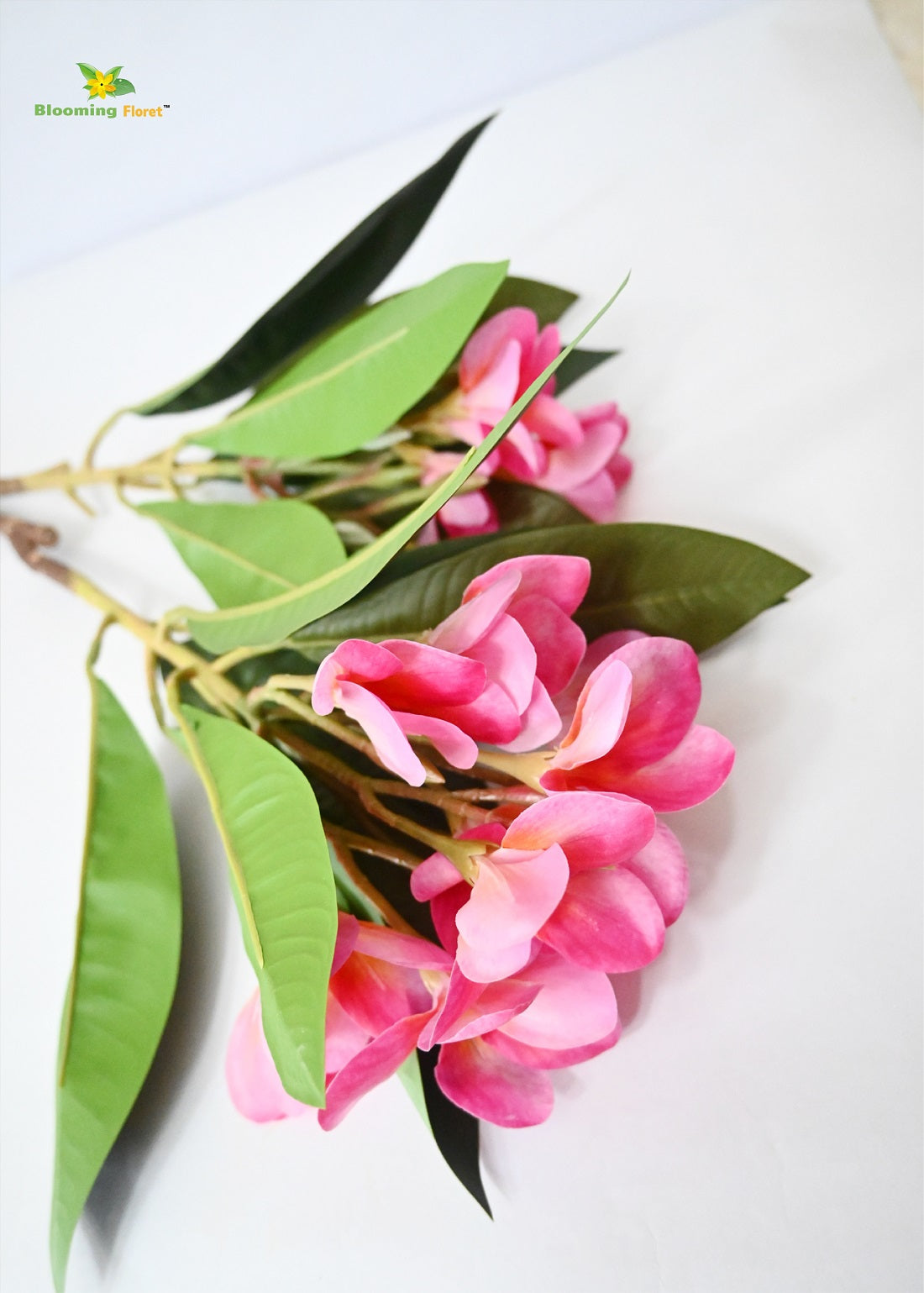 Plumeria (Frangipani) Flower Stick