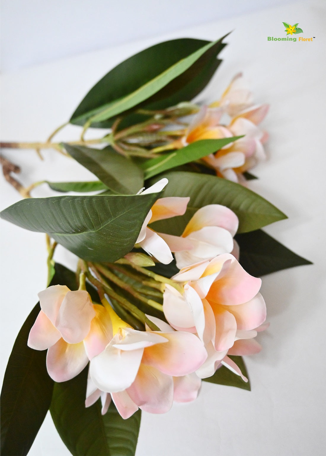 Plumeria (Frangipani) Flower Stick