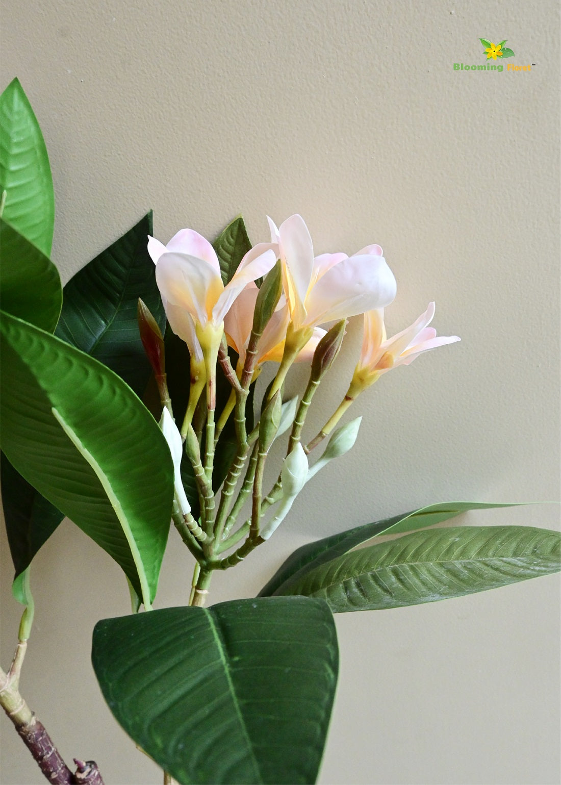 Plumeria (Frangipani) Flower Stick