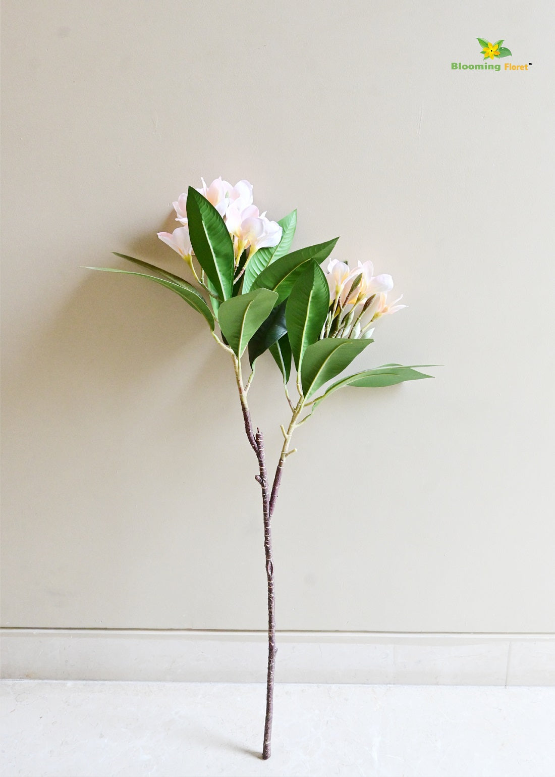 Plumeria (Frangipani) Flower Stick