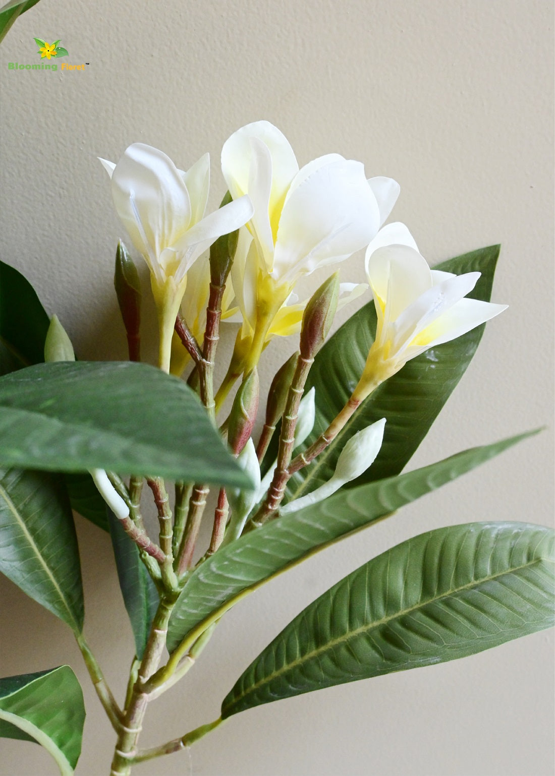 Plumeria (Frangipani) Flower Stick