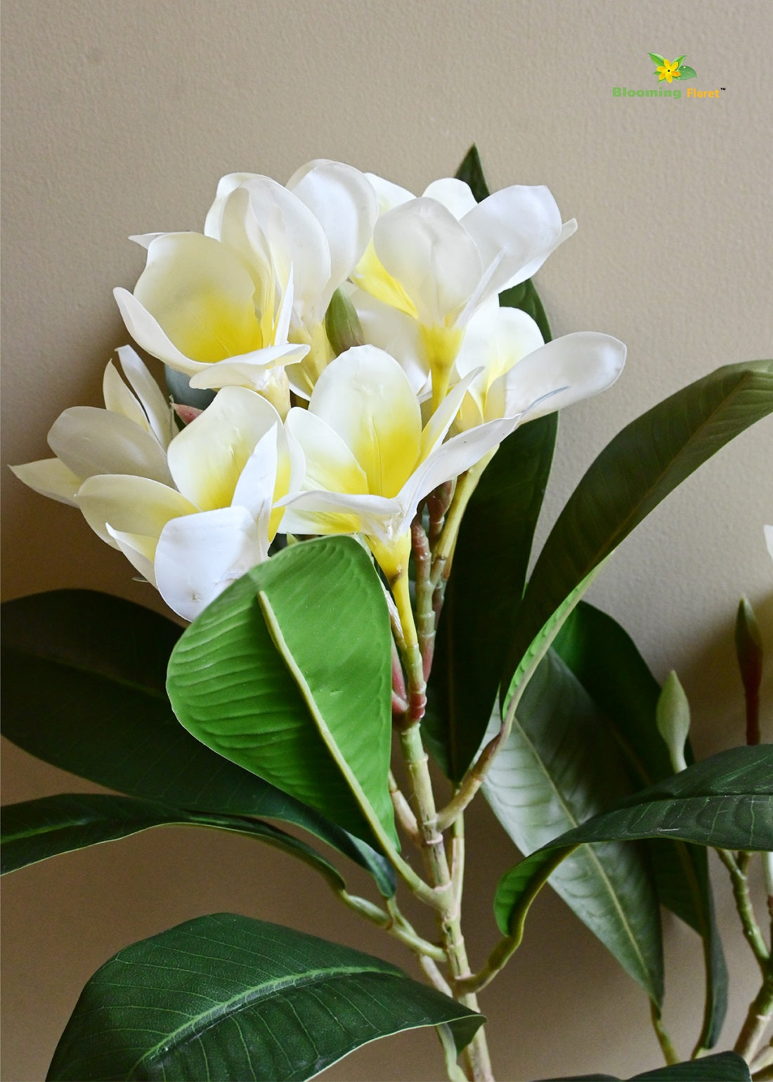 Plumeria (Frangipani) Flower Stick