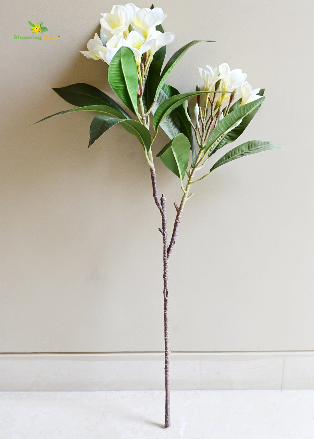 Plumeria (Frangipani) Flower Stick