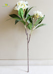 Plumeria (Frangipani) Flower Stick