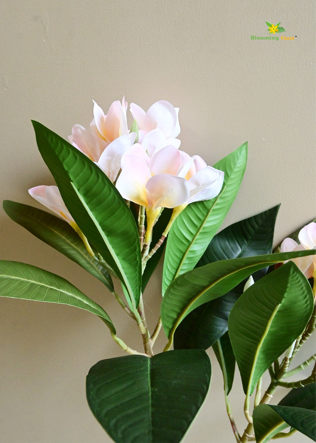 Plumeria (Frangipani) Flower Stick