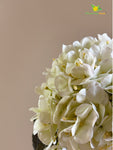 Hydrangea Flower Stick - White
