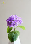 Hydrangea Flower Stick