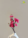 Small Plum Blossom Flower Stick (Set of 2) - Dark Pink