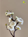 Small Plum Blossom Flower Stick (Set of 2) - White