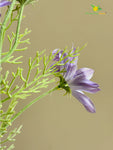 Faux Gerbera Flower Stick - Light Purple