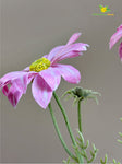 Faux Gerbera Flower Stick - Pink