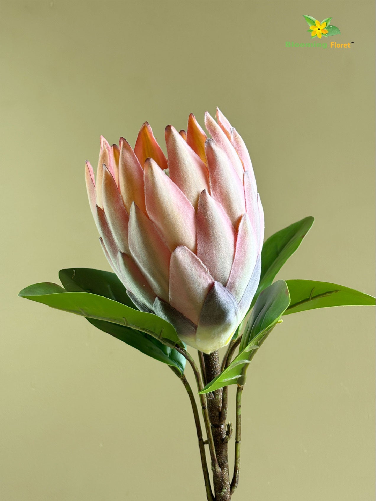 Queen Protea Flower Stick - Peach