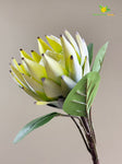 Queen Protea Flower Stick - Green, Yellow