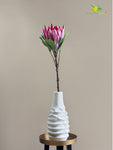 Queen Protea Flower Stick - Pink