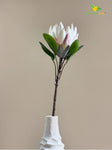 Queen Protea Flower Stick - White