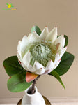 Queen Protea Flower Stick - White