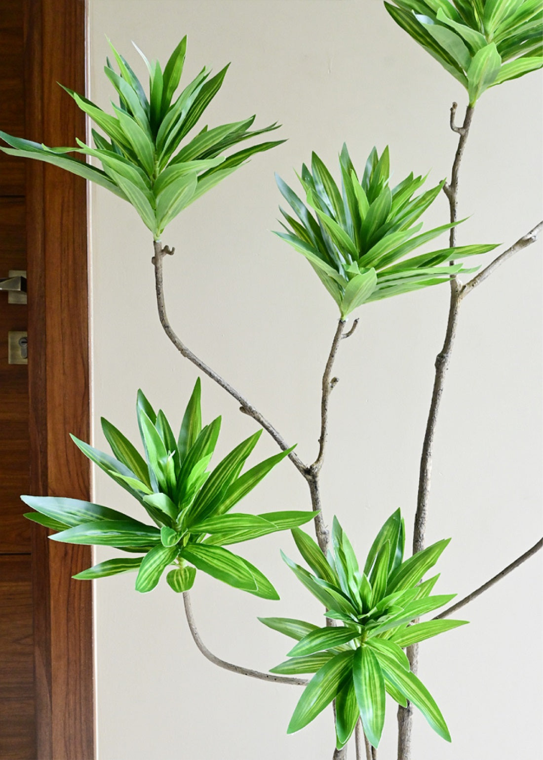 Green Haven Faux Dracaena Tree