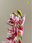 Orchid Flower Stick - Pink