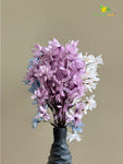 Magnolia Kobus Bunch - Off White, Blue, Purple