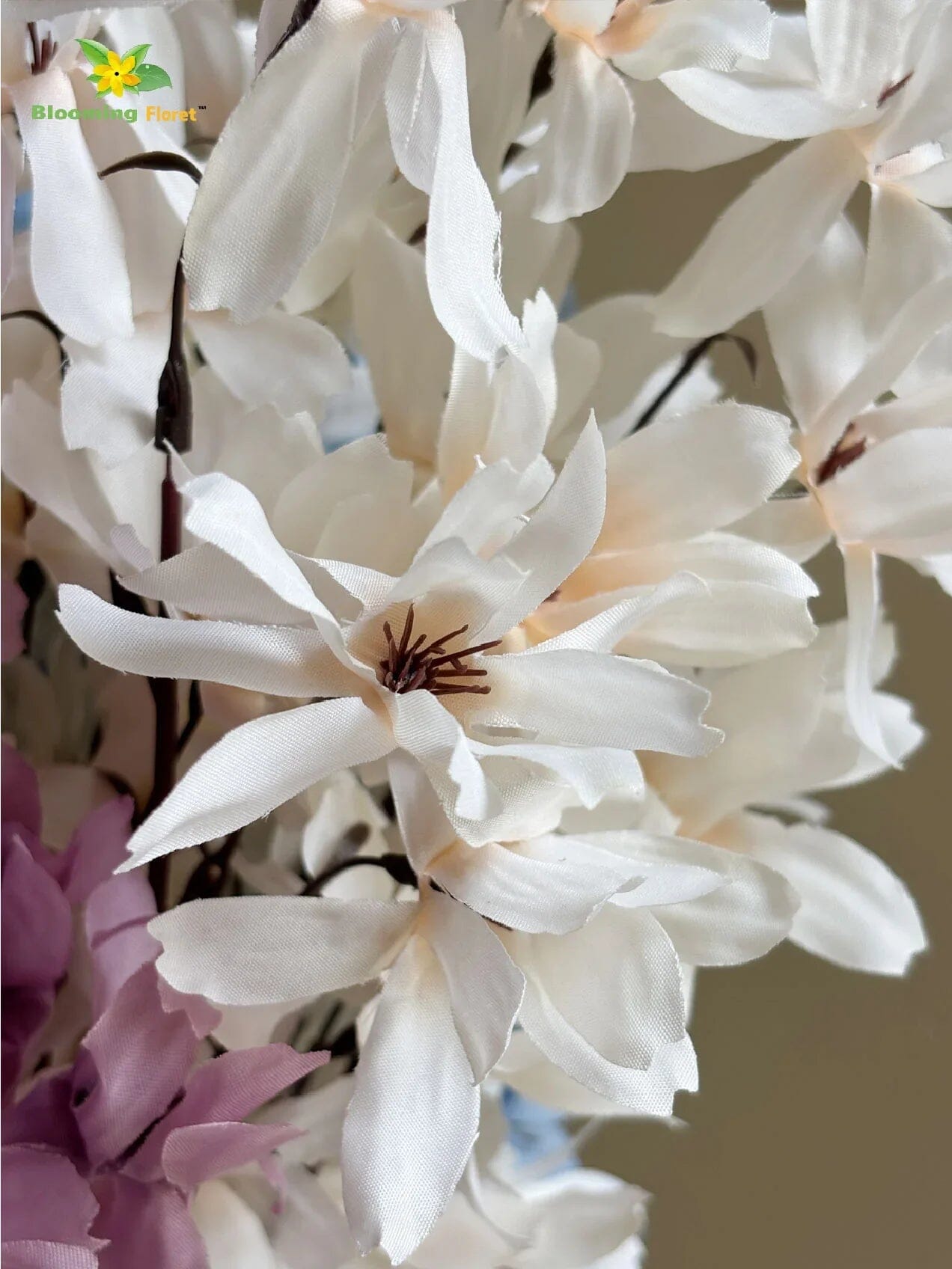 Magnolia Kobus Bunch - Off White, Blue, Purple Magnolia Kobus Blooming Floret 