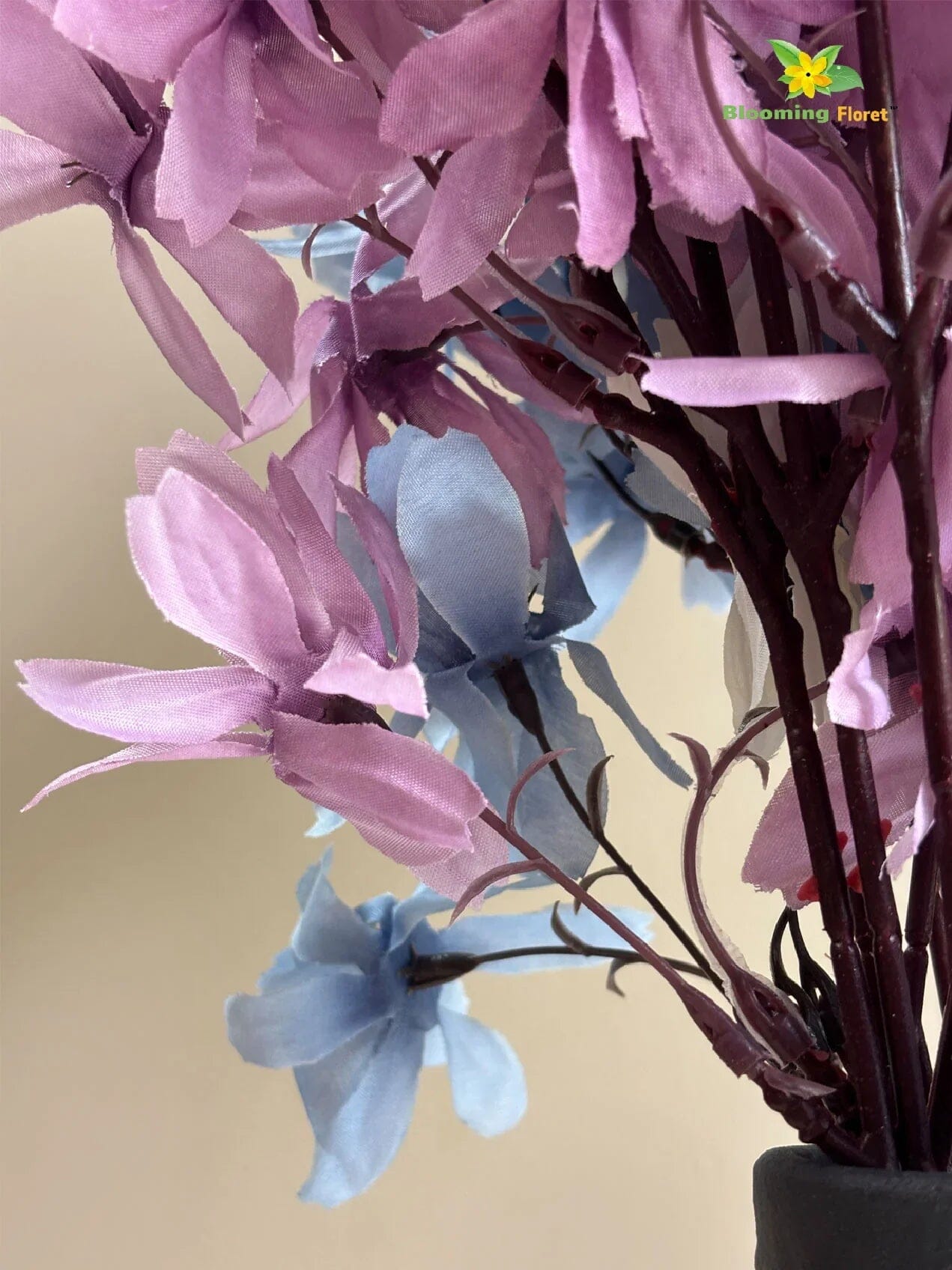 Magnolia Kobus Bunch - Off White, Blue, Purple Magnolia Kobus Blooming Floret 