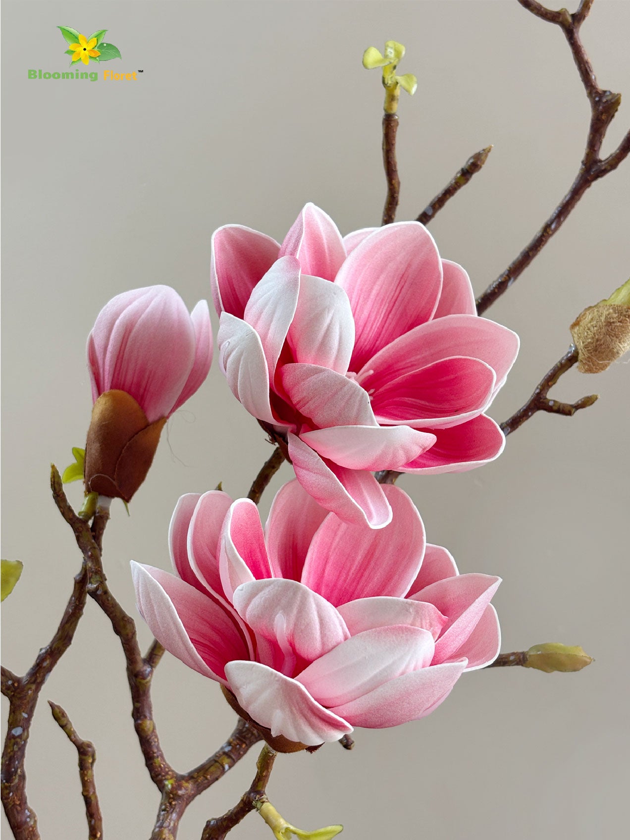 Magnolia Ikebana Flower Stick - Pink