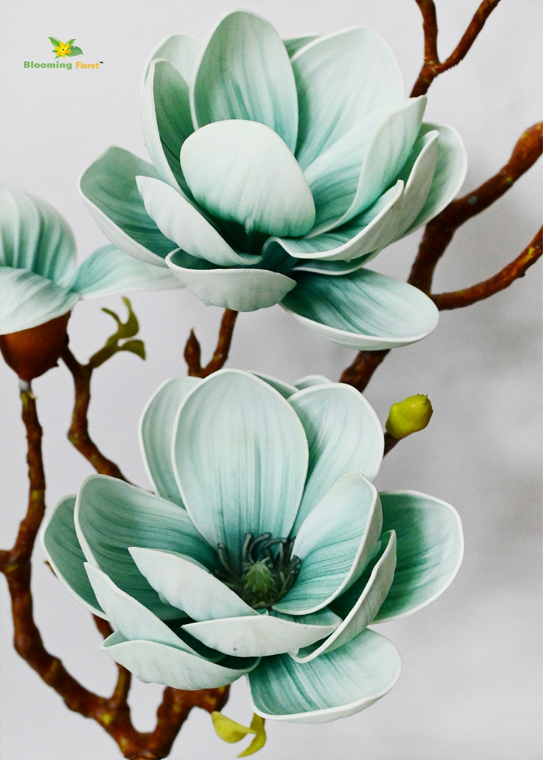 Magnolia ikebana Flower Stick