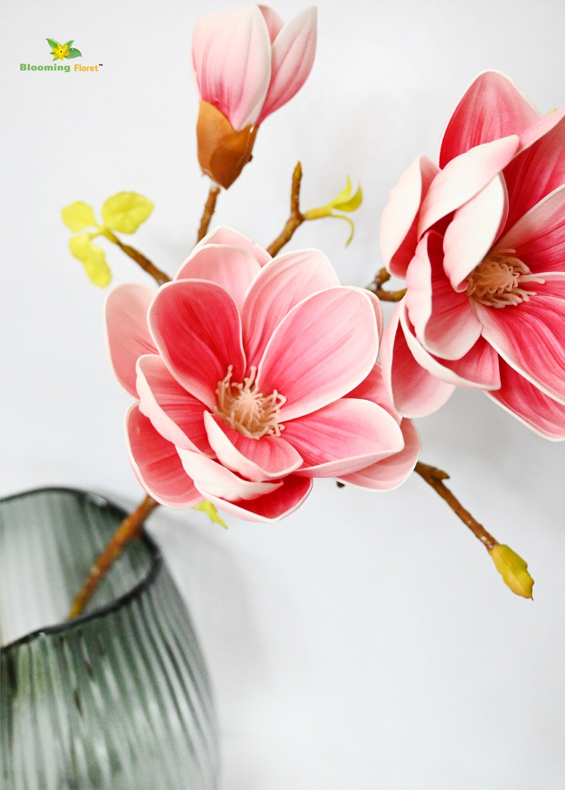 Magnolia ikebana Flower Stick