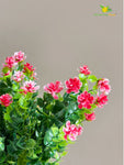 Artificial Kalanchoe Bunch Flower - Red
