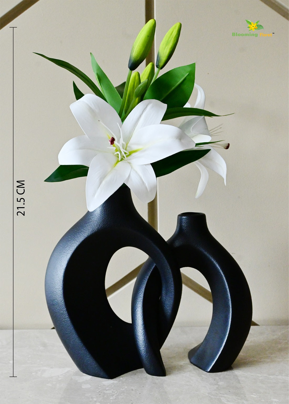 Harmony Loop Vases Duo