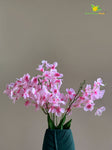 Artificial Dame's Rocket Flowers Bunch - Dark Pink