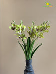 Artificial Cymbidium Orchid Flower Bunch - Green