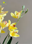 Artificial Cymbidium Orchid Flower Bunch - Yellow
