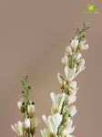 Artificial Orchid Flower Stick - Off White