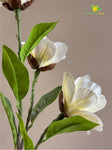 Magnolia Flower Stick - White, Green
