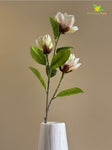 Magnolia Flower Stick - White, Green