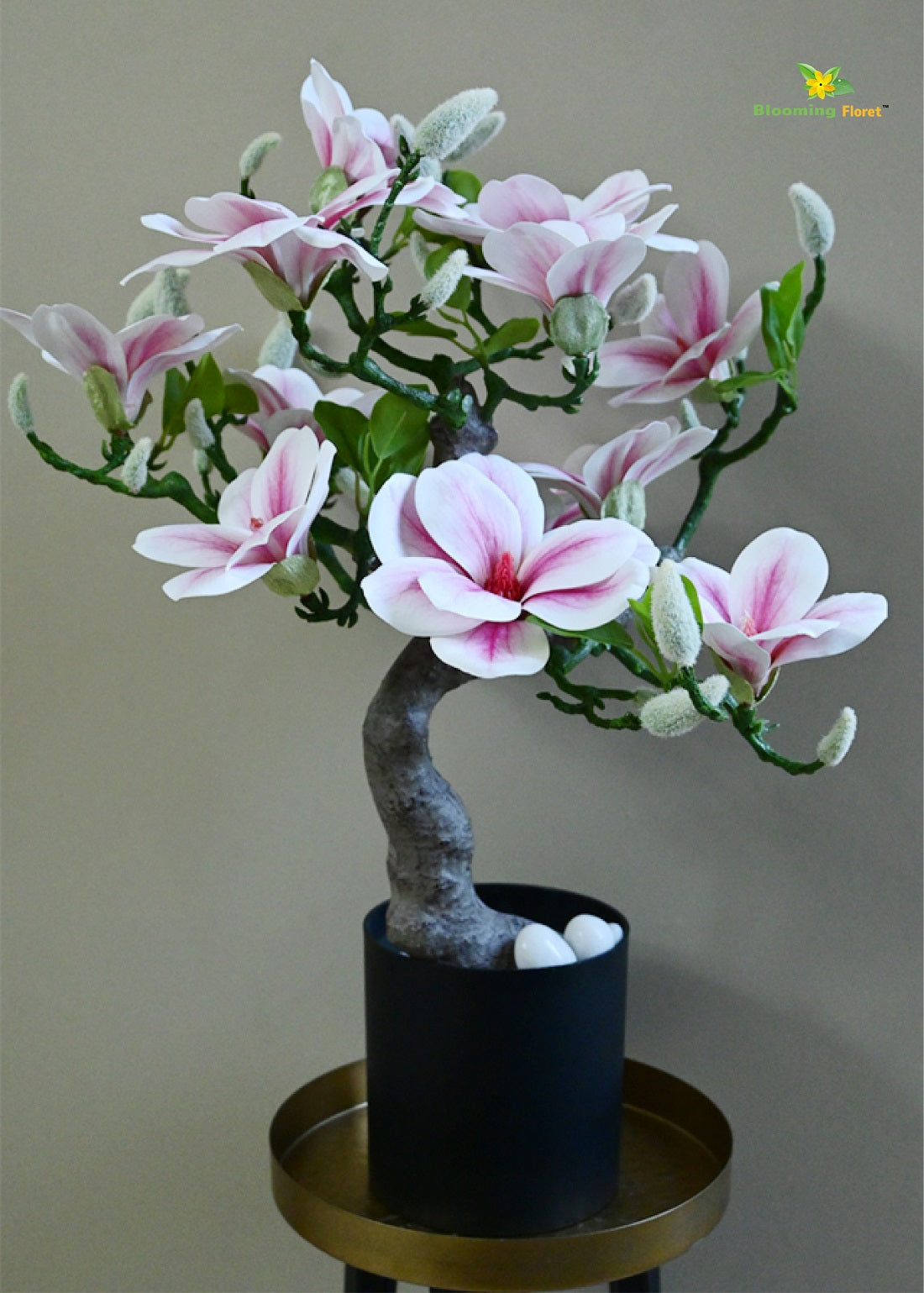 Spring Blossom Mini Magnolia Tree