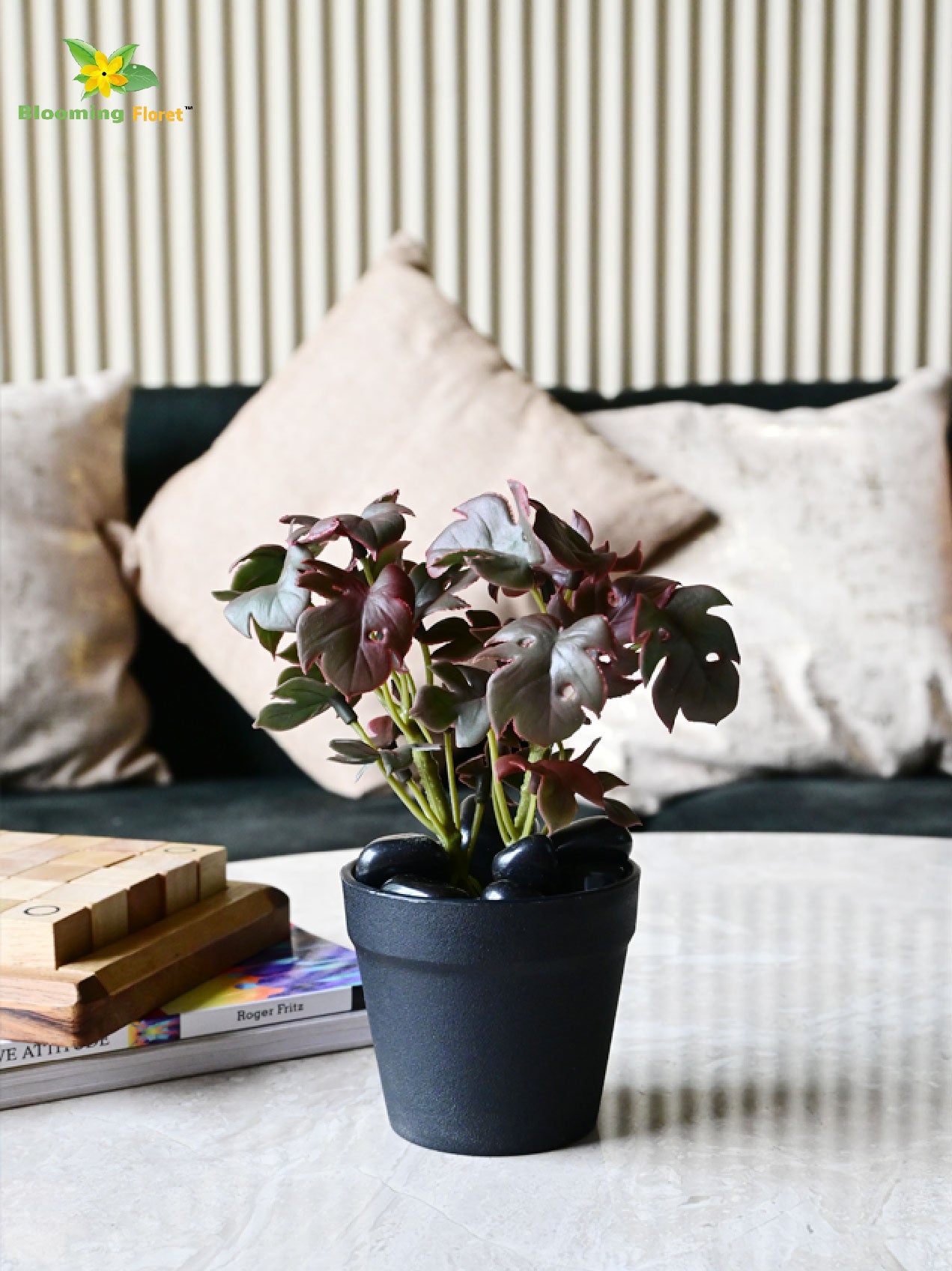 Mini Monstera Succulent - Maroon