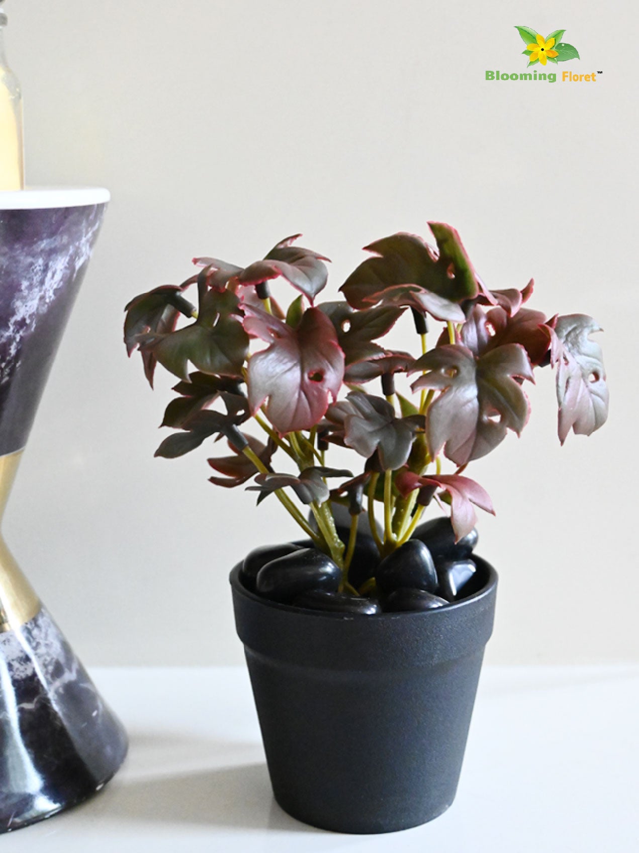 Mini Monstera Succulent - Maroon