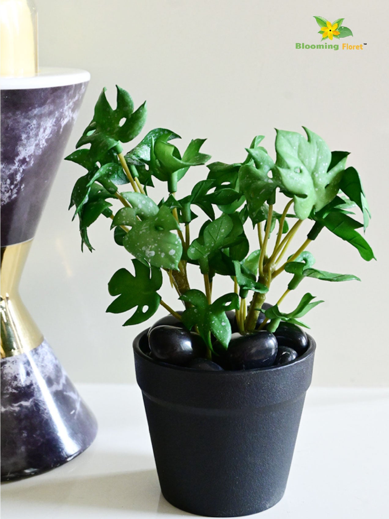 Mini Monstera Succulent - Light Green