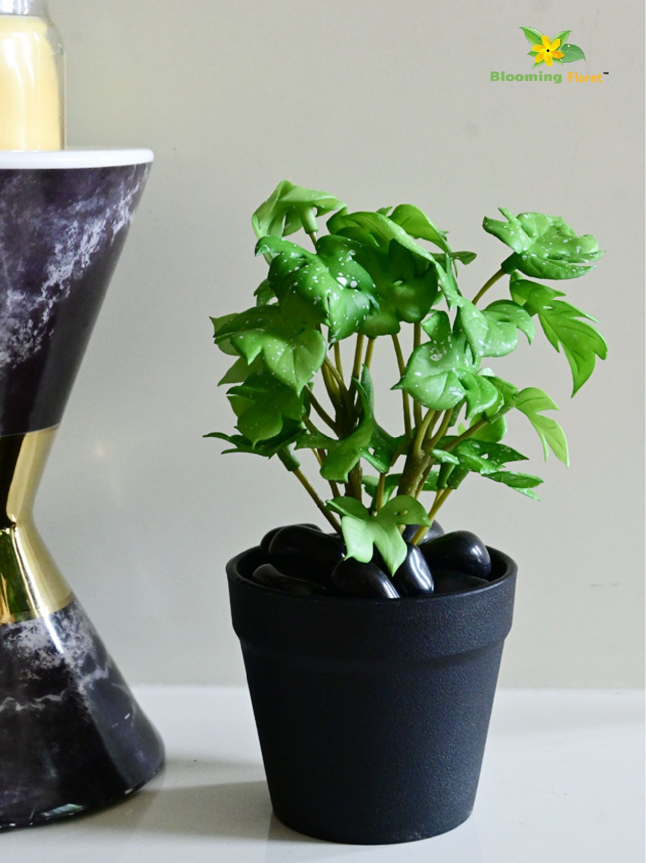 Mini Monstera Succulent - Light Green