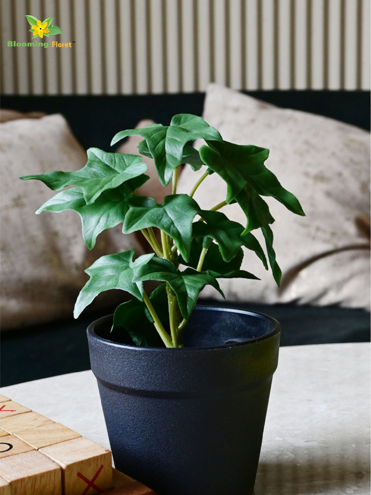 Ivy Succulent - Green