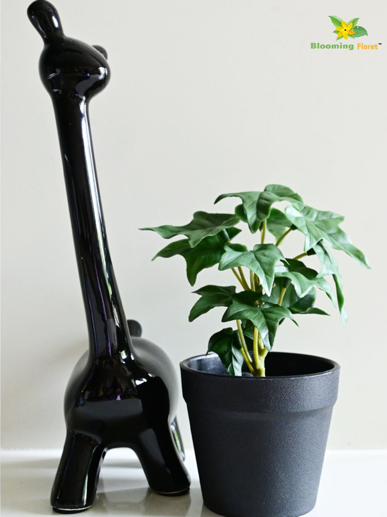 Ivy Succulent - Green